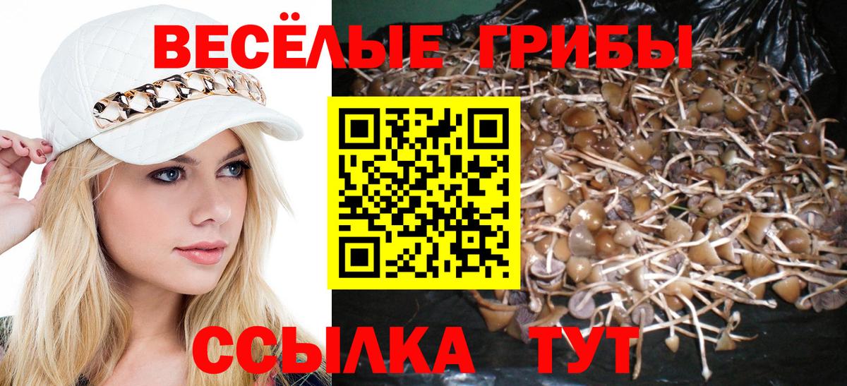 Галлюциногенные грибы MAGIC MUSHROOMS  Вход с VPN  Новомосковск  Галлюциногенные грибы Psilocybe 